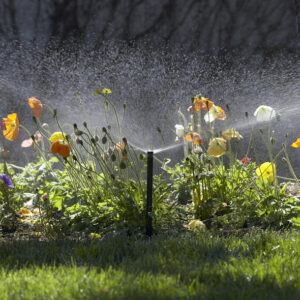 Tryska Hunter 15TT – Obrázok 3