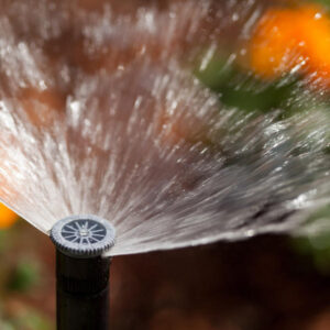 Tryska Hunter 4A – Obrázok 7