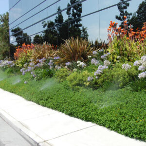 Tryska Hunter 6A – Obrázok 8