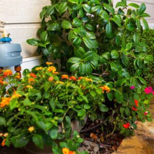 Kohútikový programátor Hunter BTT-201 Bluetooth – Obrázok 6