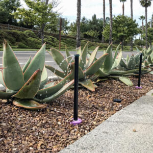 Tryska Hunter MSBN-25Q – Obrázok 3