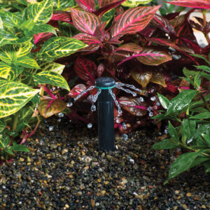 Tryska Hunter MSBN-20F – Obrázok 2